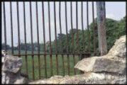 Marly-la-Ville. - Château : mur de clôture du parc avec une allée plantée.