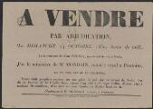 1 vue  - Vente par adjudication de terres à Nesles-la-Vallée, chez M. Tourly, marchand de vin à Nesles-la-Vallée, par Me Mondain, notaire royal à Pontoise. (ouvre la visionneuse)