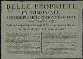 1 vue  - Adjudication volontaire d\'une propriété patrimoniale à Avernes, par Me Cailleux, notaire à Marines. (ouvre la visionneuse)