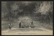 2 vues  - « Butry-Valmondois. La Glaneuse. Un coin du parc ». Frémont édit., Beaumont-sur-Oise. (ouvre la visionneuse)
