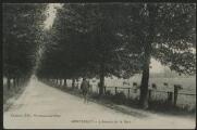 2 vues « Montsoult. L'avenue de la Gare ». Frémont édit., Beaumont-sur-Oise.