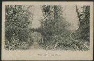 2 vues « Montsoult. Pont d'Arcole ». Imp.-lib. J. Frémont, Beaumont-sur-Oise.
