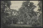 2 vues « Sous-bois dans le parc du château de St-Gratien ». Phot. Société immobilière du parc de St-Gratien. Edition Trianon n° 2095.