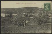 2 vues « Vétheuil (S.-et-O.). En promenade sur la colline ». Phot. A. Lavergne, Vernon.