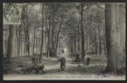 2 vues  - « Forêt de Carnelle. Sous bois, près Viarmes ». Imp.-phot. J. Frémont, Beaumont-sur-Oise. (ouvre la visionneuse)