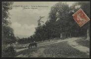 2 vues  - « Taverny (S.-et-O.). Forêt de Montmorency. Place de l\'Eauriette ». Edit. Denizot tabacs, L\'H., Paris. (ouvre la visionneuse)