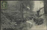 2 vues  - « Forêt de Carnelle. La Fontaine au roi ». Frémont édit., Beaumont-sur-Oise. (ouvre la visionneuse)