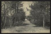 2 vues  - « Bessancourt. Allée du Périmètre. Forêt de Montmorency ». Legay édit., Bessancourt. (ouvre la visionneuse)