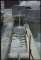 1 vue Champagne-sur-Oise. - Lavoir situé rue de Chambly : détail du bassin recevant l'eau déversée par la tête de lion.
