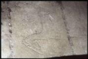1 vue Épiais-lès-Louvres. - Église Notre-Dame-de-l'Assomption : détail d'un graffiti sur le clocher représentant un cheval.